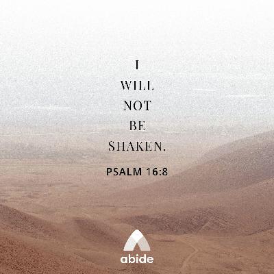 Don't Be Shaken