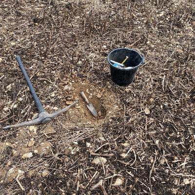 Why soil carbon is "not there yet" Why soil carbon is "not there yet"