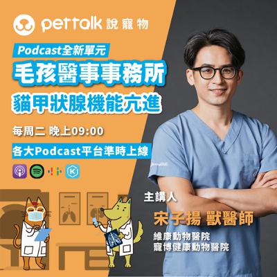EP267｜《毛孩醫事事務所》難不成是返老還童？淺談貓咪的甲狀腺機能亢進 feat. 宋子揚 獸醫師