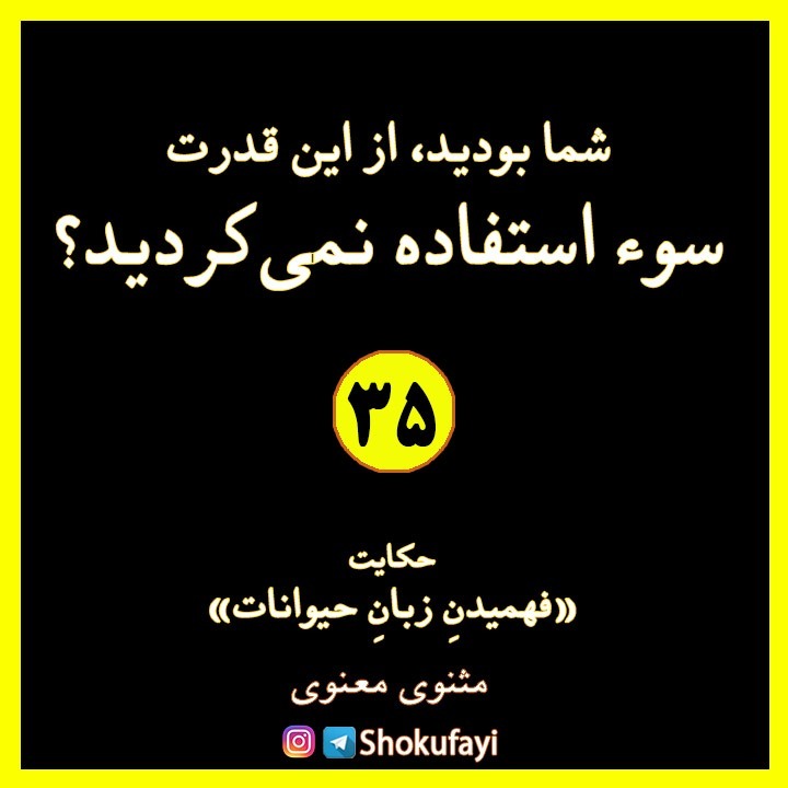شما بودید از این قدرت سوء استفاده نمی کردید؟