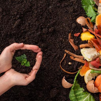 The great food rescue The great food rescue