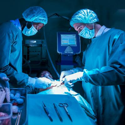 FDNY lieutenant's wife in urgent need of a liver transplant, looking for a donor