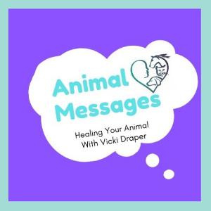 Shock Relief Support for People and Pets Shock Relief Support for People and Pets