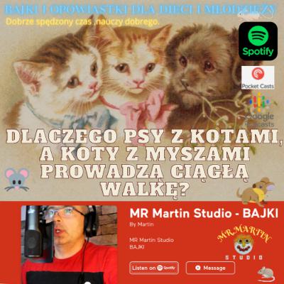 11 Bajka - Psy koty i myszy