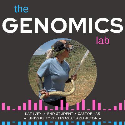 Rattlesnakes and Population Genomics with Kat Ivey