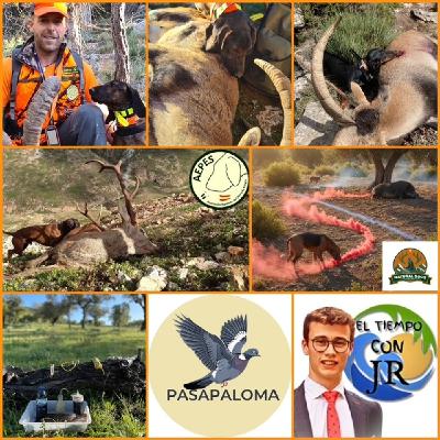 EL MORRAL DEL CAZADOR 24-10-2025 PROG 451 "DE CERO A CIEN:LA INICIACION AL RASTRO Y MIGRATORIAS CON PASAPALOMA" EL MORRAL DEL CAZADOR 24-10-2025 PROG 451 "DE CERO A CIEN:LA INICIACION AL RASTRO Y MIGRATORIAS CON PASAPALOMA"