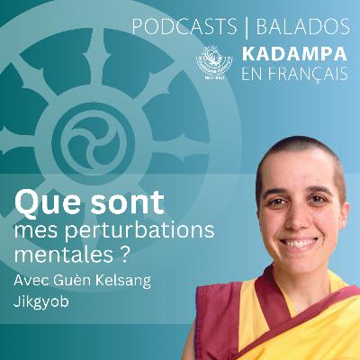 Que sont mes perturbations mentales ?