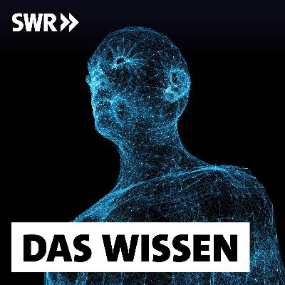 Wenn KI Entscheidungen trifft – Hilfreich bis tödlich Wenn KI Entscheidungen trifft – Hilfreich bis tödlich