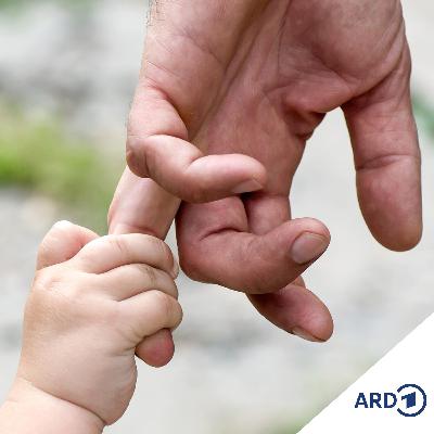 Boom der Bindungsorientierten Erziehung