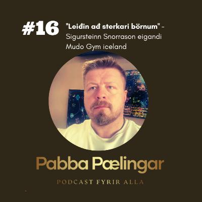 #16 ''Leiðin að sterkari börnum'' - Sigursteinn Snorrason eigandi Mudo Gym iceland