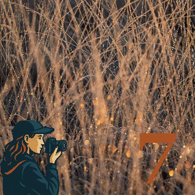 Ein Blick zum Wegesrand mit Claudia Bonna