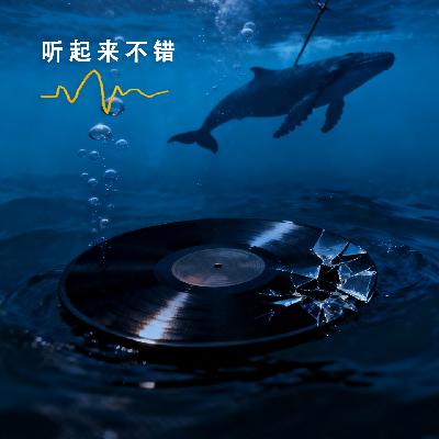 005 | 座头鲸之歌