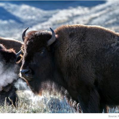 WARARKA LACAGAHA KIRIBTO.XRP MA GUULBAA USOO HOYA TAY MISE.XALKA BITCOIN IYO HOOS UDHACA MAXA KEENAY WARARKA LACAGAHA KIRIBTO.XRP MA GUULBAA USOO HOYA TAY MISE.XALKA BITCOIN IYO HOOS UDHACA MAXA KEENAY