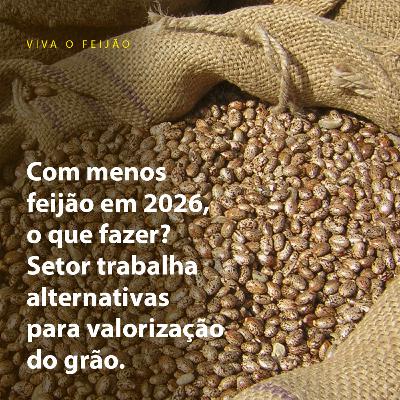 Com menos feijão em 2026, o que fazer? Setor trabalha alternativas para valorização do grão. Com menos feijão em 2026, o que fazer? Setor trabalha alternativas para valorização do grão.