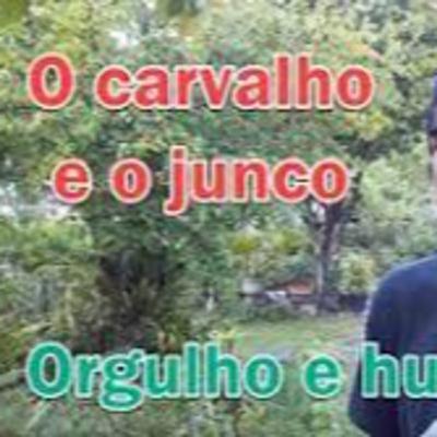 O Carvalho e o Junco - Orgulho e Vaidade