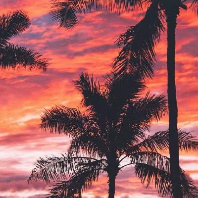 Trabajo de comunicación