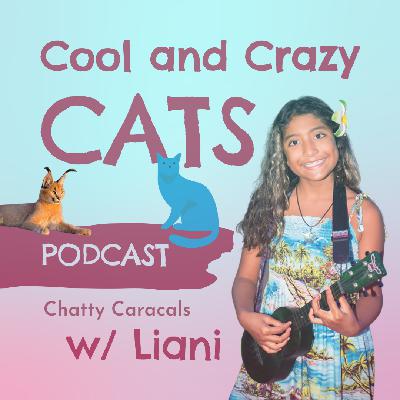 Chatty Caracals
