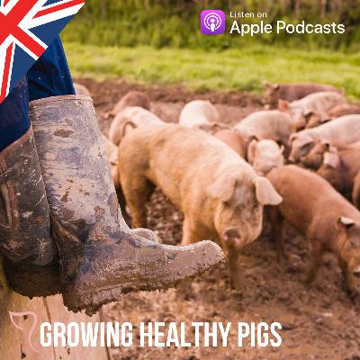 How the industry can back farm assurance schemes