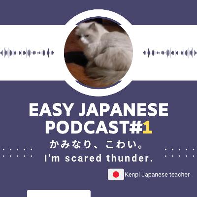 #1My cat was scared thunder! Easy Japanese Podcast