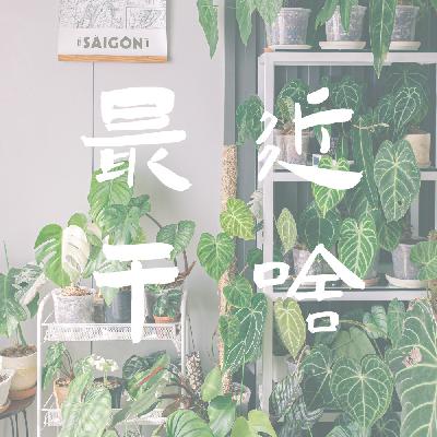 补更6-10月：夏天又稀里糊涂地结束了