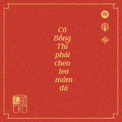 Cỏ Bồng Thi phải cheo leo mỏm đá