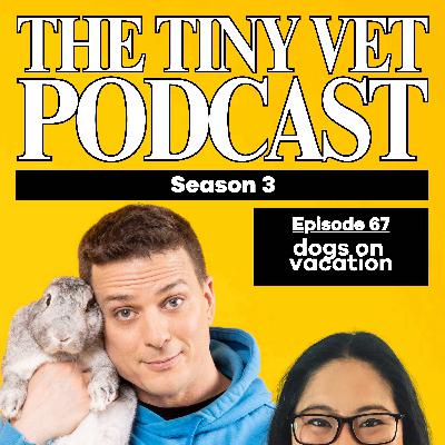 67: Dogs on Vacation