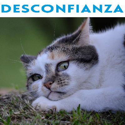 DESCONFIANZA