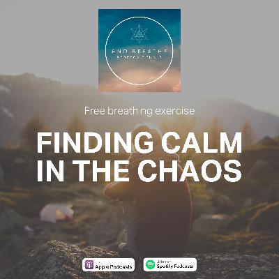 Breath Exercise: Finding Calm in the Chaos