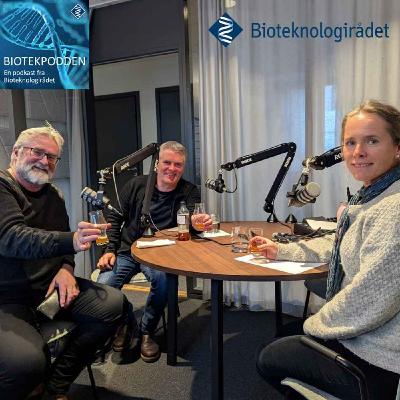 Kveik - ein bevaringsverdig norsk genressurs