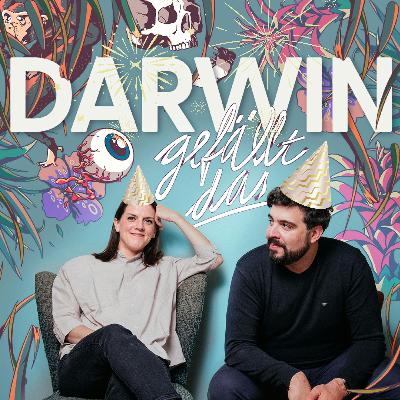 2025: Menschen, Fails, Emotionen