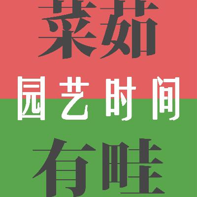 秋天如何种豌豆/蚕豆【菜茹有畦】