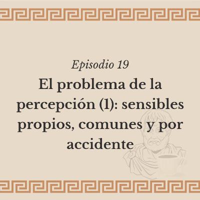 Ep. 19: El problema de la percepción (1) - sensibles propios, comunes y por accidente