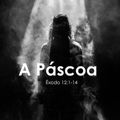 #006 IMOSP NAÇÕES | A PÁSCOA - Pr. Francisco Lopes