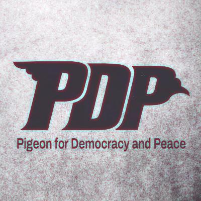 PDP Party Political Broadcast