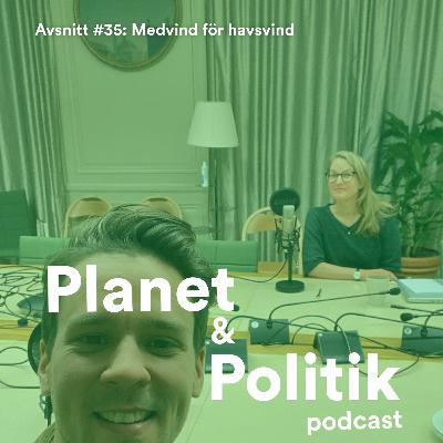 #35: Medvind för havsvind #35: Medvind för havsvind