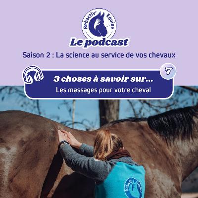 3 choses à savoir sur les massages équin