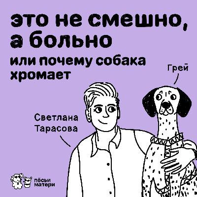 Это не смешно, а больно! Или почему собака хромает.