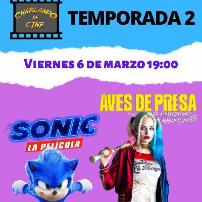 2x08 Aves De Presa y Sonic La Película