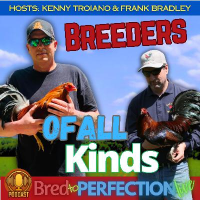 Ep249 - What Kind of Breeder Are You?