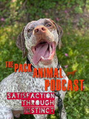 Satisfaction Through Instinct