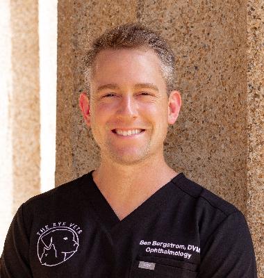 339: Expanding veterinary ophthalmology