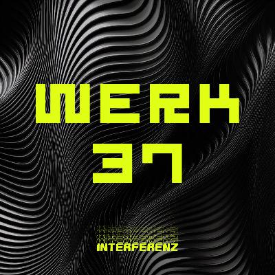 Wie man einen Techno Club baut (und Underground-Geschichte schreibt) [WERK37]