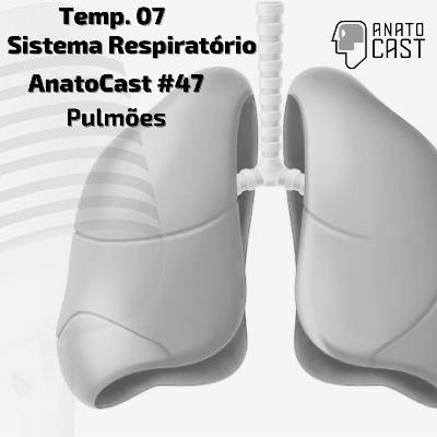 AnatoCast #47 - Pulmões - Temp. 07 - Sist. Respiraório AnatoCast #47 - Pulmões - Temp. 07 - Sist. Respiraório