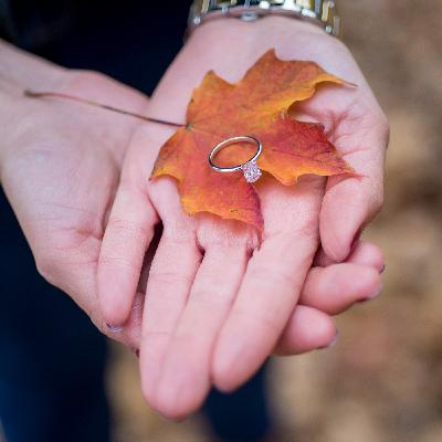 Top 5 de los mejores lugares para tomar fotos de matrimonio en Toronto Top 5 de los mejores lugares para tomar fotos de matrimonio en Toronto