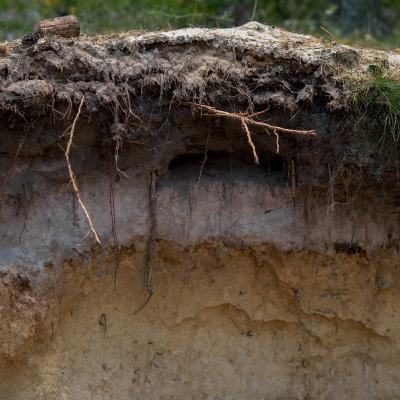 Soil security starts here: a framework for the future Soil security starts here: a framework for the future