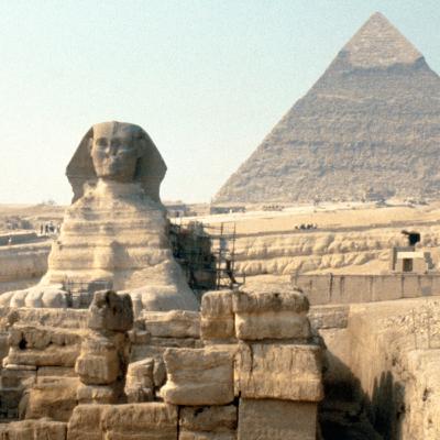 Whom Are You Going To Trust? - Dr. Mark Gignilliat Whom Are You Going To Trust? - Dr. Mark Gignilliat