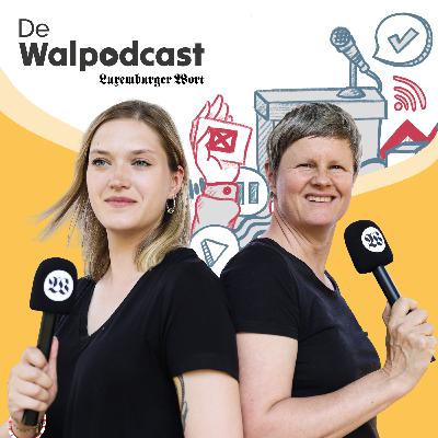 Episode 14: Wéi geet Regierungsbildung a wat mécht déi nei Chamber?