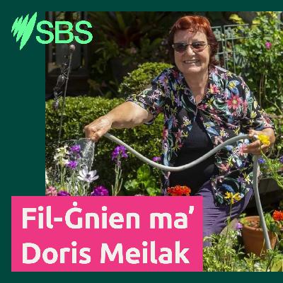 Doris Meilak | Żjara fl-Ewropa b’rabta mal-ġonna u n-natura Doris Meilak | Żjara fl-Ewropa b’rabta mal-ġonna u n-natura