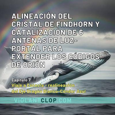 Alineación del cristal de Findhorn y catalización de 6 antenas de Luz-portal para extender los códig