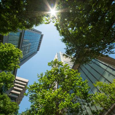 NHS Estates Series – Episode 12: Green Leases explained